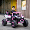 Dalisi UTV DLS-X1 24V Powerwheel Kids Ride on Car